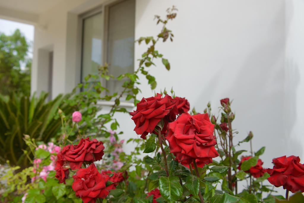 Myrtiana Villa Протарас Экстерьер фото